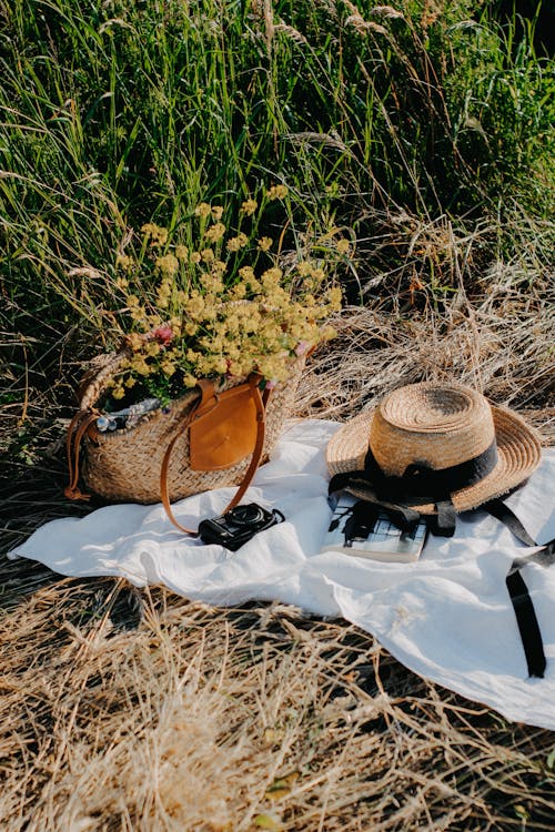 Free Hat, Camera and Bag with Flowers on Picnic Blanket Stock Photo