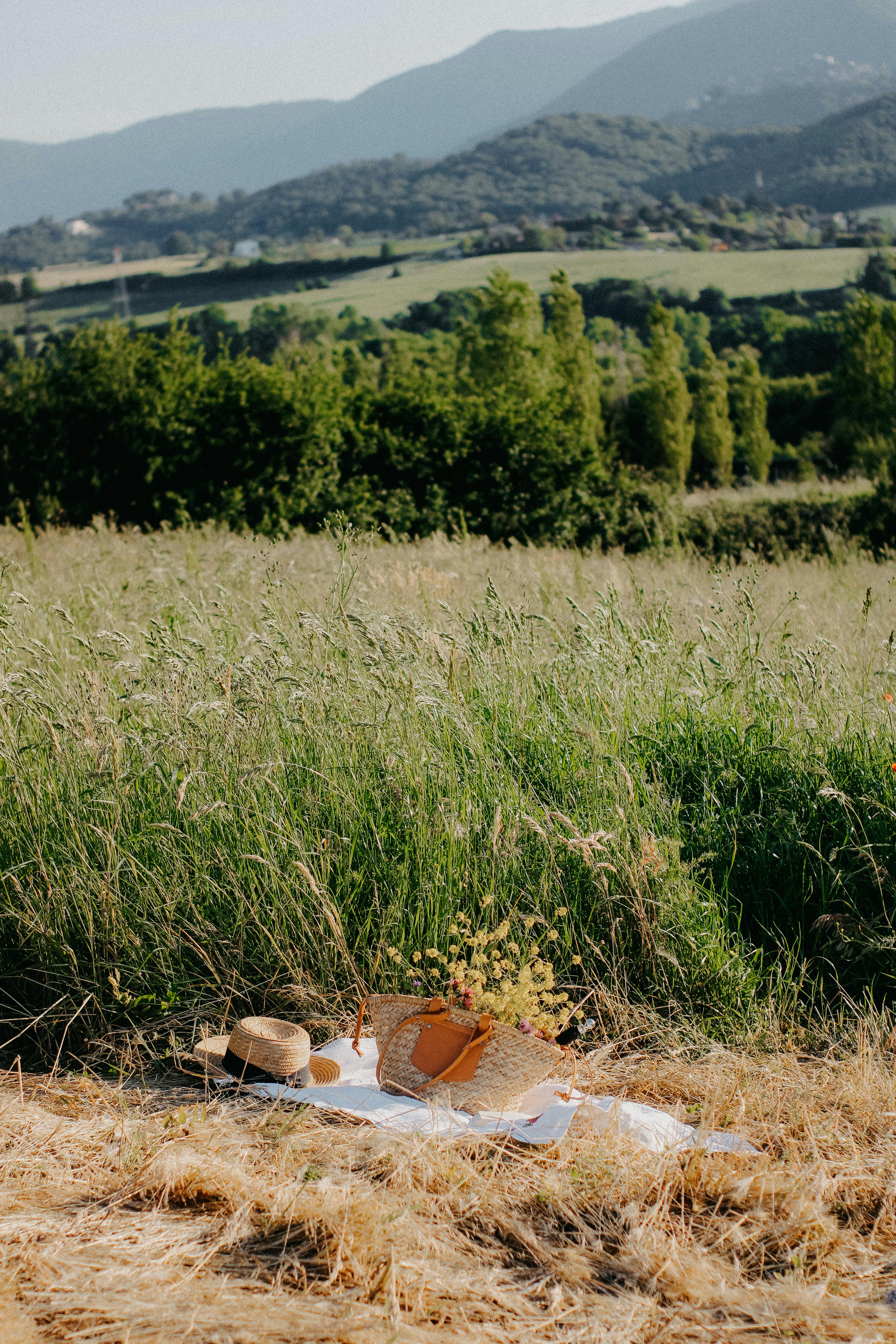 A delightful picnic setup in a serene meadow with rustic charm and natural beauty.