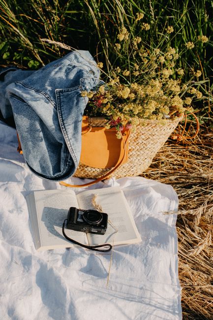A peaceful picnic setup with books and a camera in a sunny rural meadow.