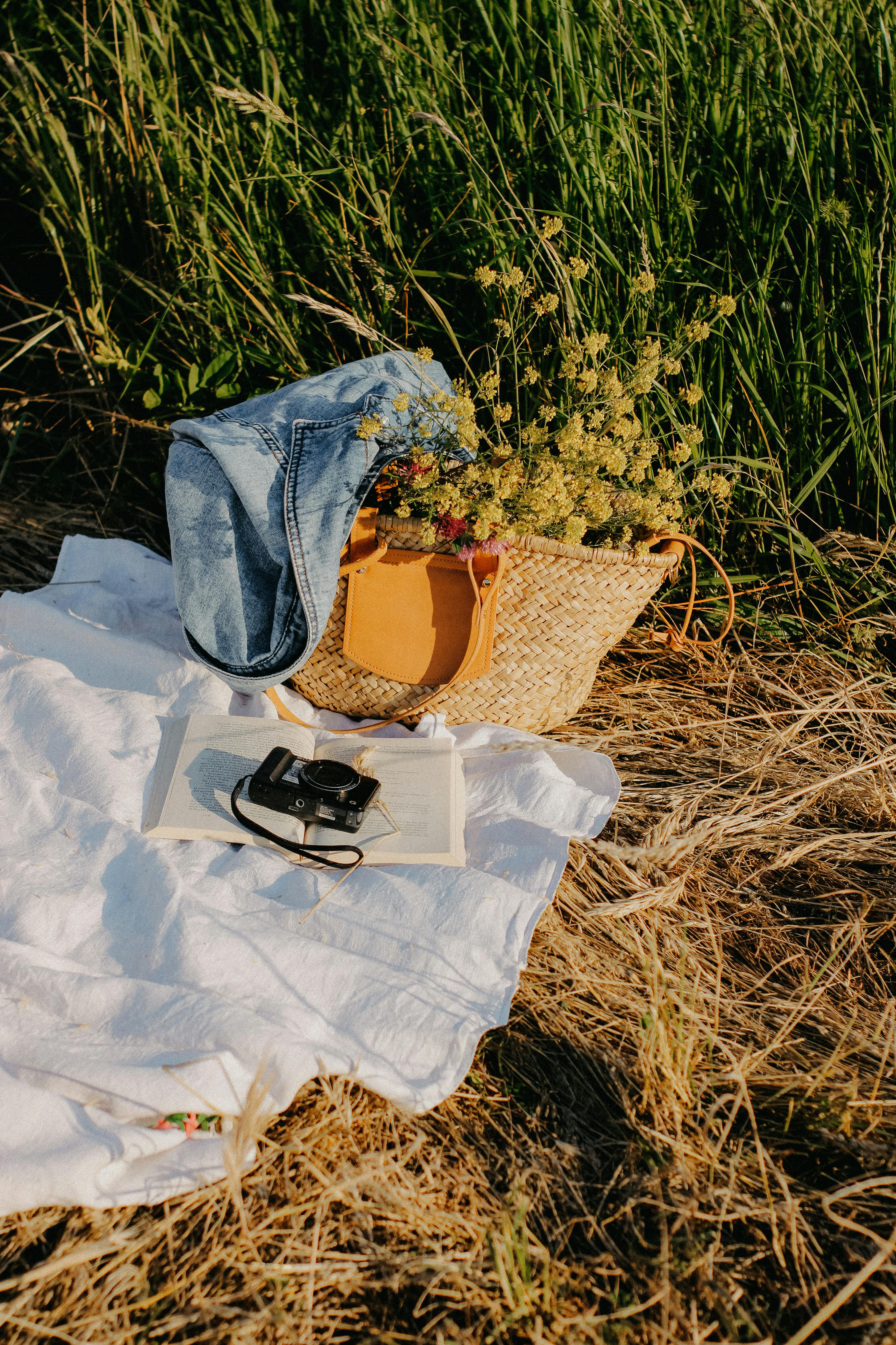 Relaxing picnic setup in a rural meadow with a camera and wildflowers.