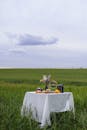 A table set up in a field with a bottle of wine and a plate of food