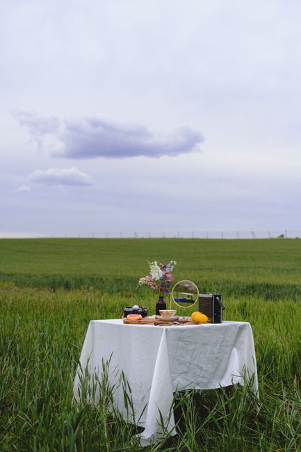 Charming outdoor still life setup with a table in a green field, featuring flowers and a lemon.