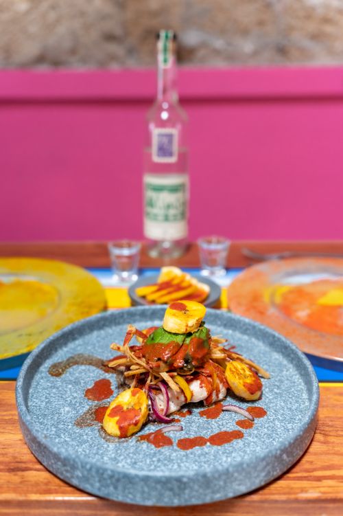 Free Close-up of a colorful gourmet dish on a table set in a vibrant Mexican interior with mezcal in the background. Stock Photo