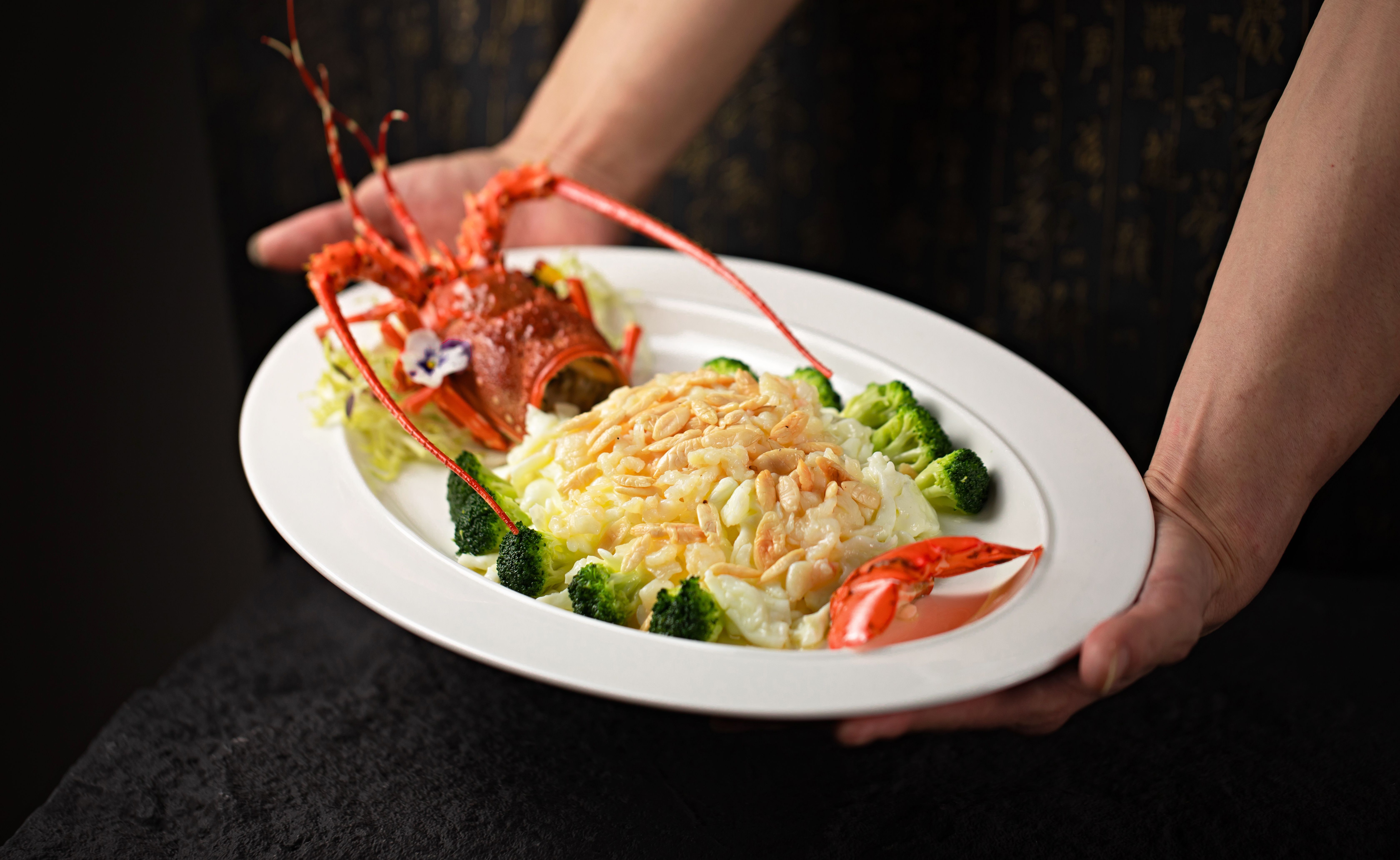 Close-up of gourmet lobster dish with pureed meal served on a white plate, held by hands.