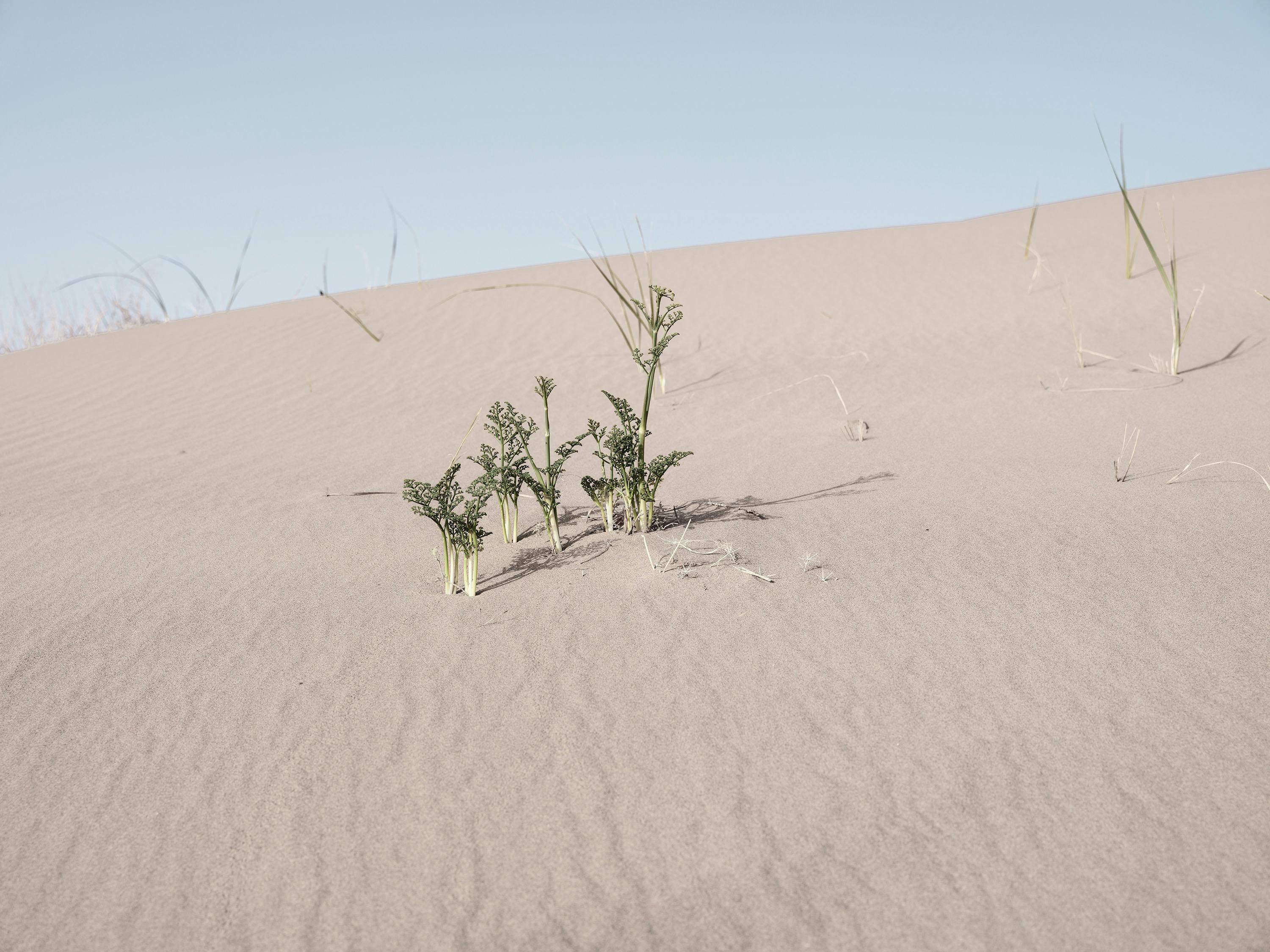 climate resilience sea level rise — Photo by zeng jinwen on Pexels