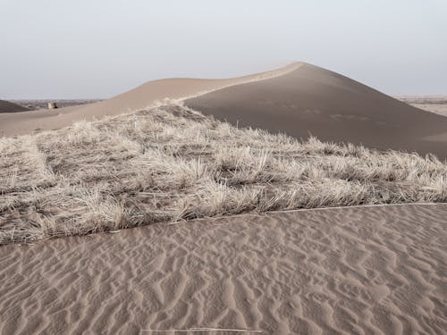 Δωρεάν στοκ φωτογραφιών με αμμόλοφος, άμμος, άνυδρος