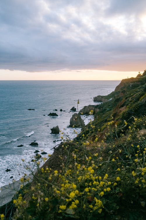A scenic view of the ocean and cliffs at sunset