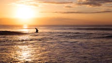 澳大利亚昆士兰冲浪者天堂海滩风景如画的日落，海鸥翱翔