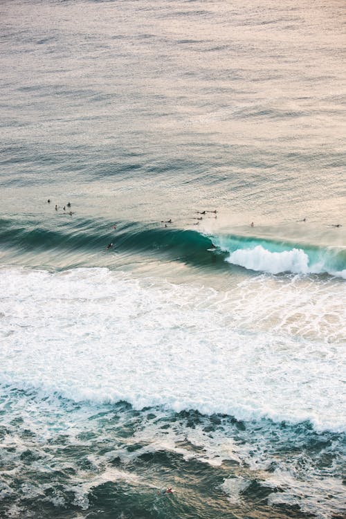 海の波の航空写真