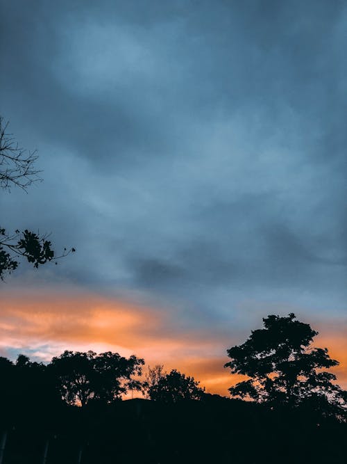 Silhouetten Von Bäumen Unter Dramatischem Himmel