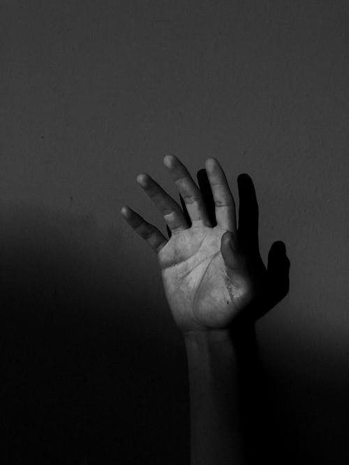 Foto d'estoc gratuïta de blanc i negre, conceptual, dits