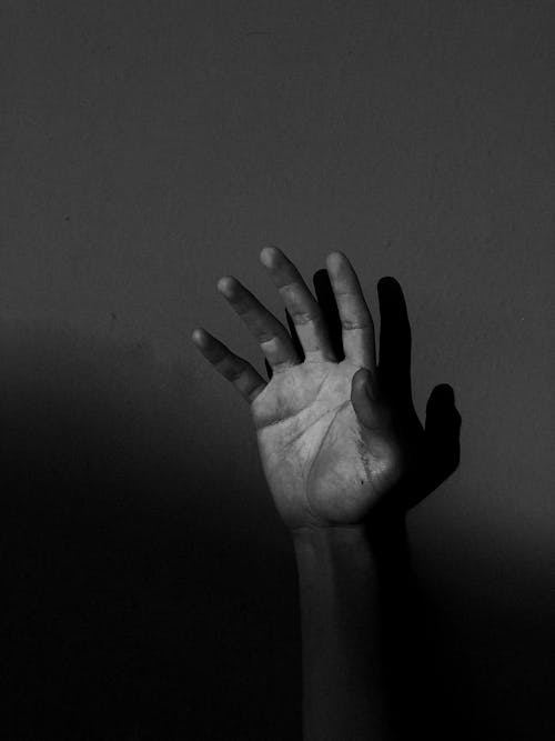 Monochrome Photo of Person's Hand