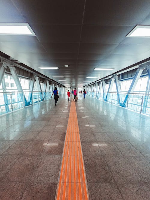 Imagine de stoc gratuită din aeroport, afaceri, bandă