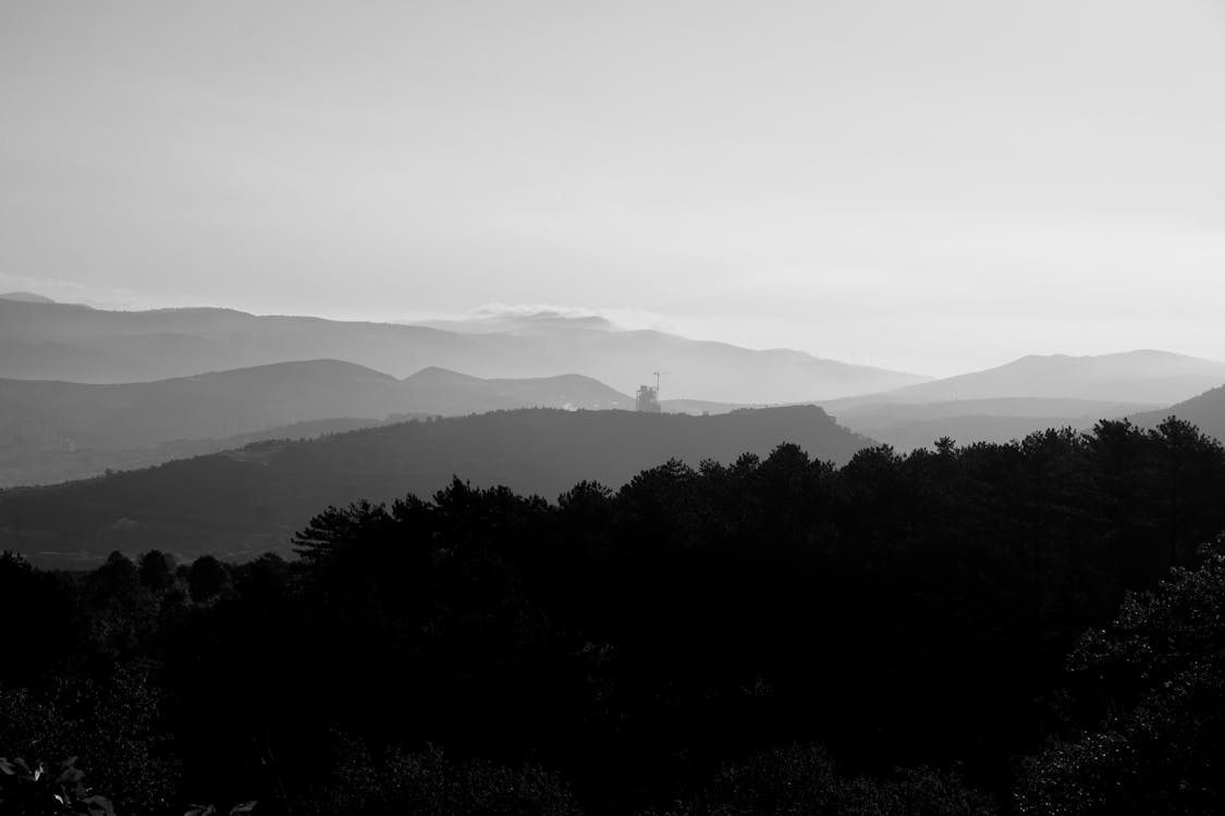Black and white photo of mountains and trees