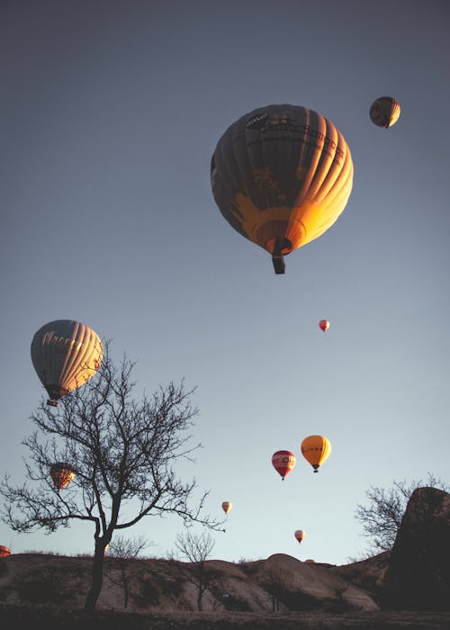 Foto d'estoc gratuïta de a l'aire lliure, aeronau, aire