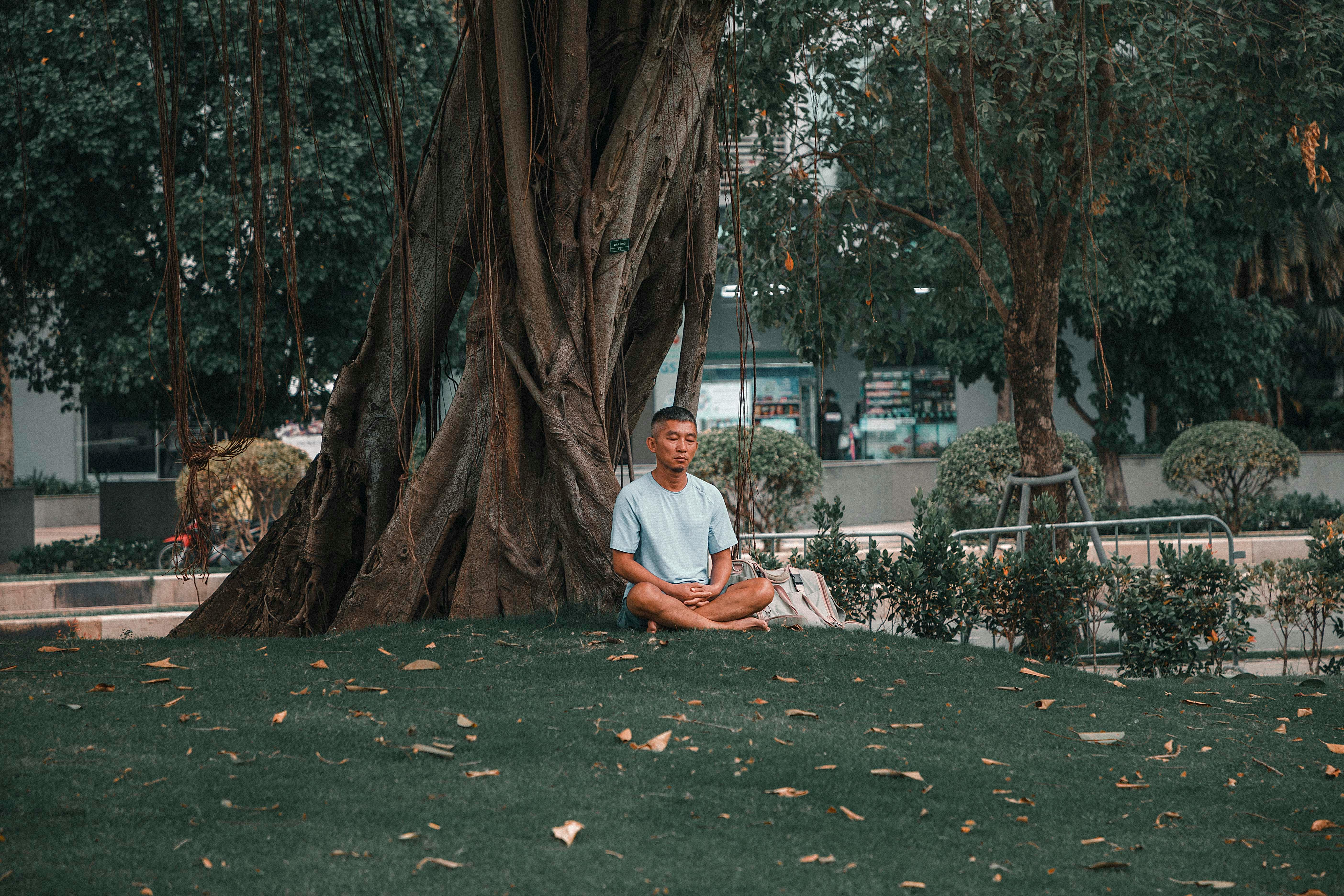 A serene scene of a man meditating under a tree in a park, symbolizing relaxation and mindfulness.