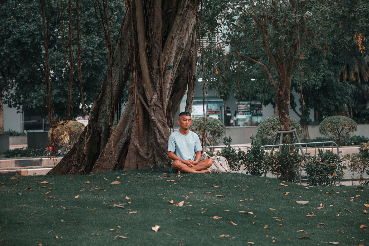 A calm beginner's guide to starting
