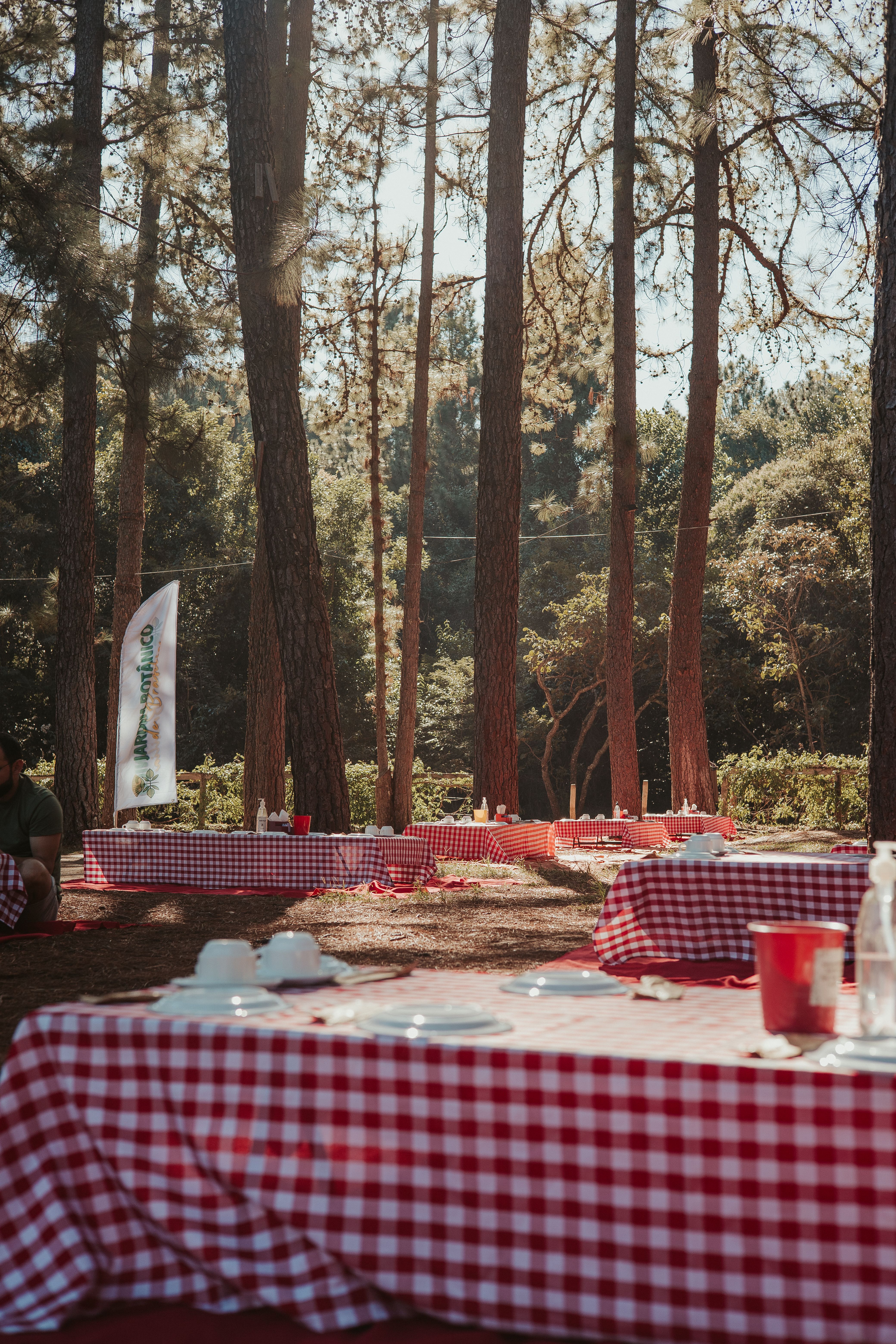 View of Set Tables in a Park · Free Stock Photo