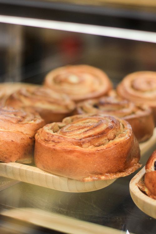 Free Close-up of fresh cinnamon rolls in a bakery display, showcasing sweet pastry treats. Stock Photo