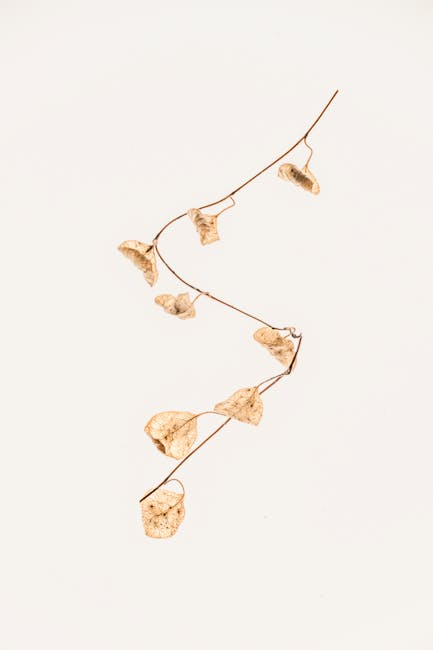 마사지알바정보0