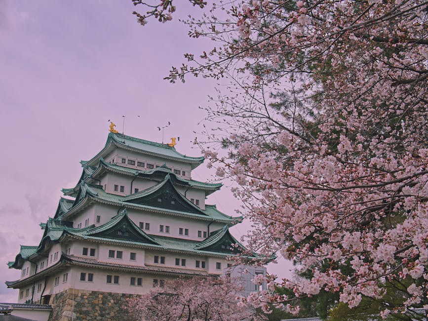 El Encanto Oculto de Japón: Explorando Kanazawa, Kamakura y Otaru, las Joyas del "Ranking de Marca Municipal"