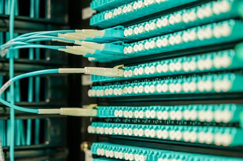Free Cable Plugged on a Patch Panel  Stock Photo