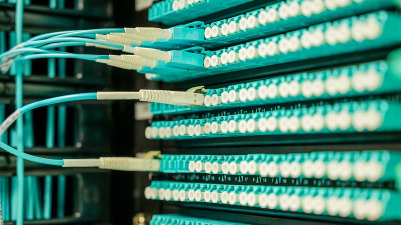 Networking cables plugged into a patch panel, showcasing data center connectivity.