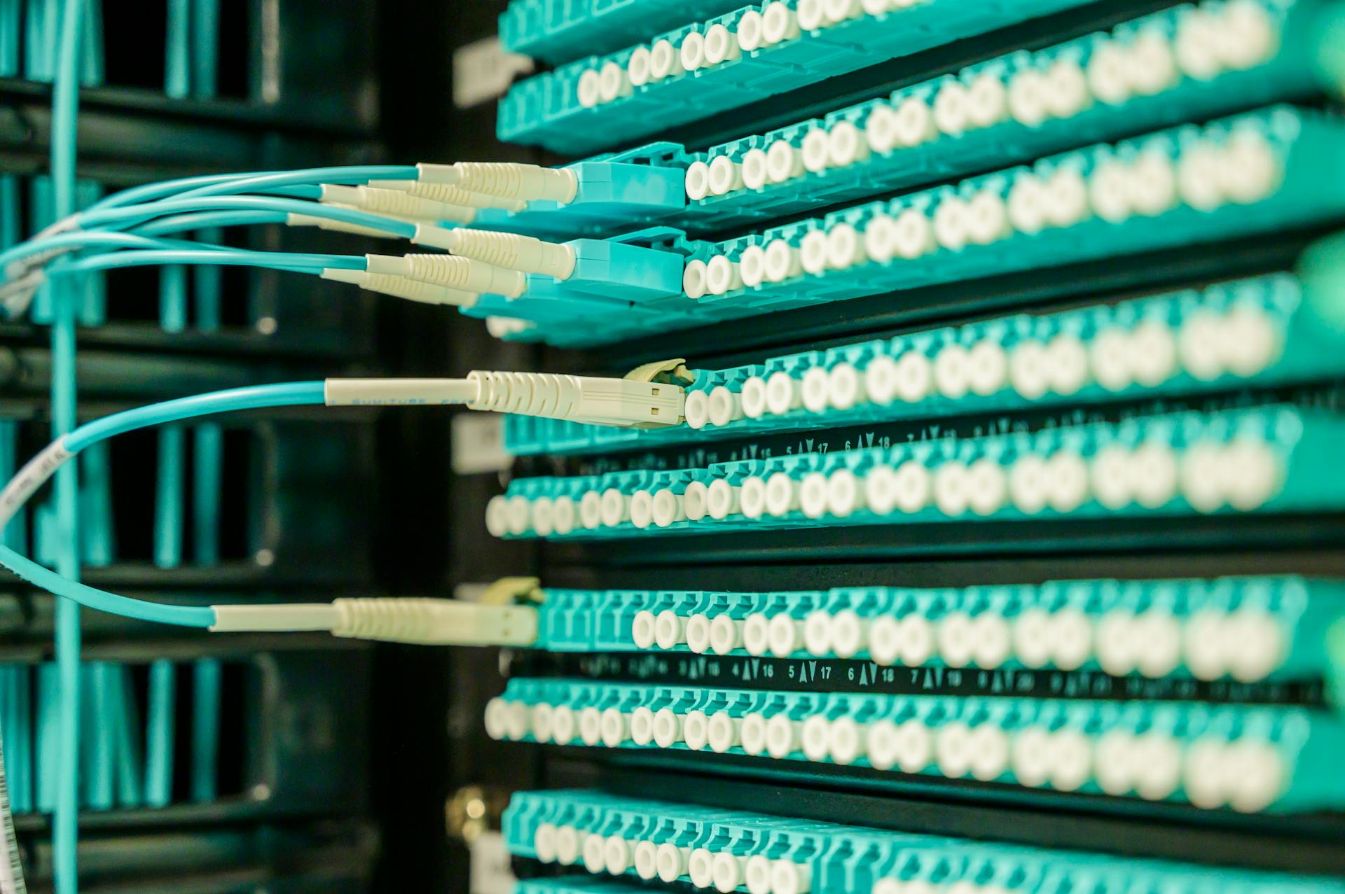 Networking cables plugged into a patch panel, showcasing data center connectivity.