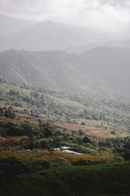 Fotomural Una vista serena de montañas cubiertas de niebla y exuberante vegetación en Norzagaray, Filipinas.
