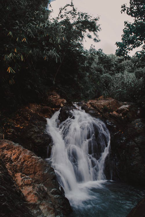 樹木環繞的瀑布照片