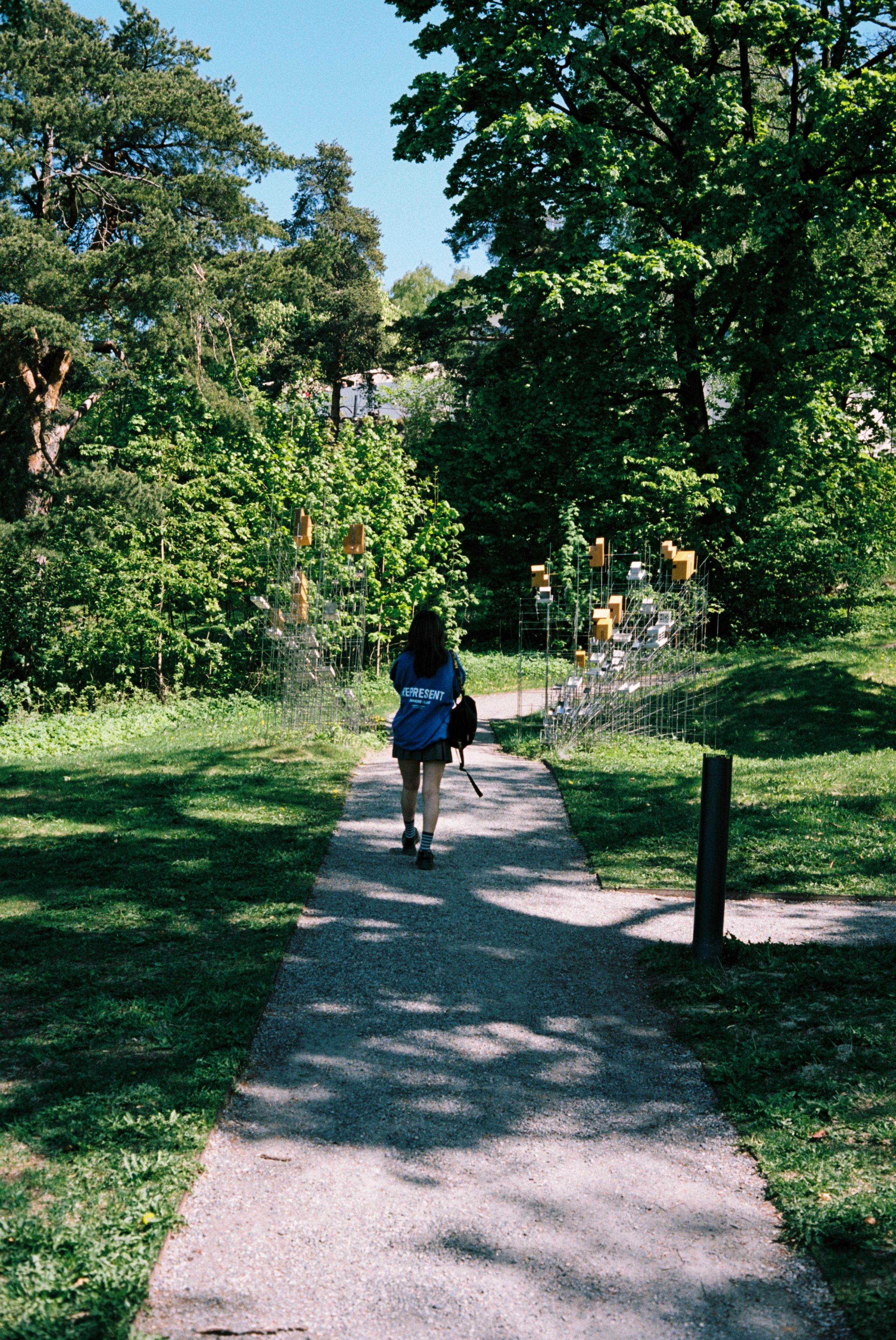 Back View of a Girl Walking in a Park · Free Stock Photo