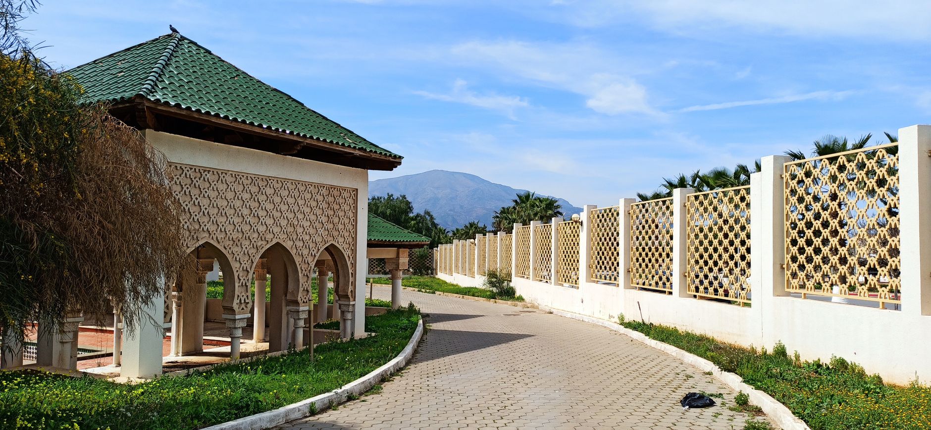 Algeria photo 6