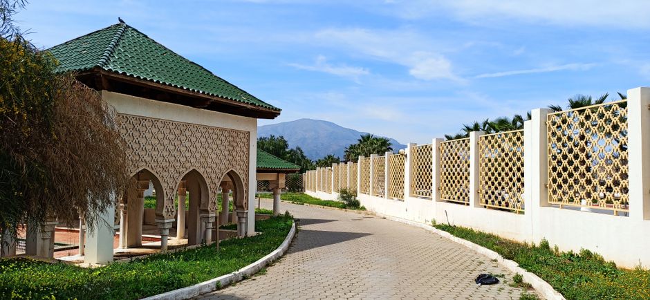 Trouver un Travail a Tlemcen en 2026 : Niches et Strategies