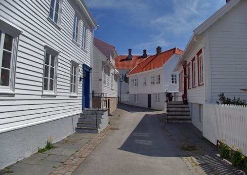 노르웨이, 북유럽 인, 빨간 지붕의 무료 스톡 사진