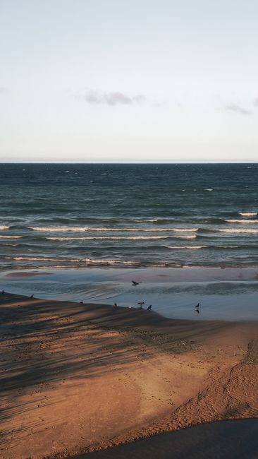 Serene view of Kurucaşile beach with gentle waves and birds at dusk.