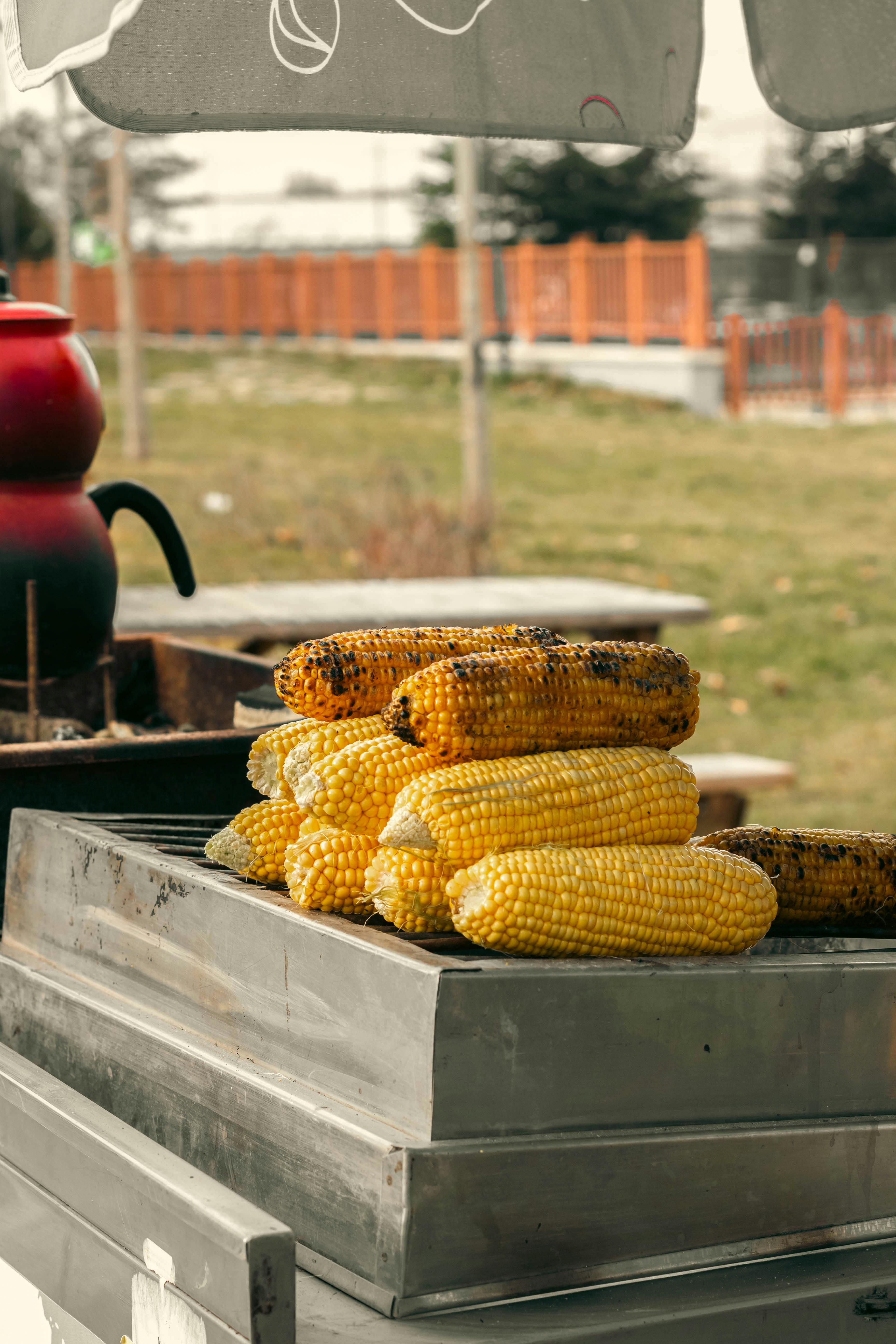 A stack of grilled corns on the cob at an outdoor food stand during the day.