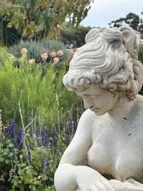 Ingyenes stockfotó elmélkedés, kert, kerti szobor témában