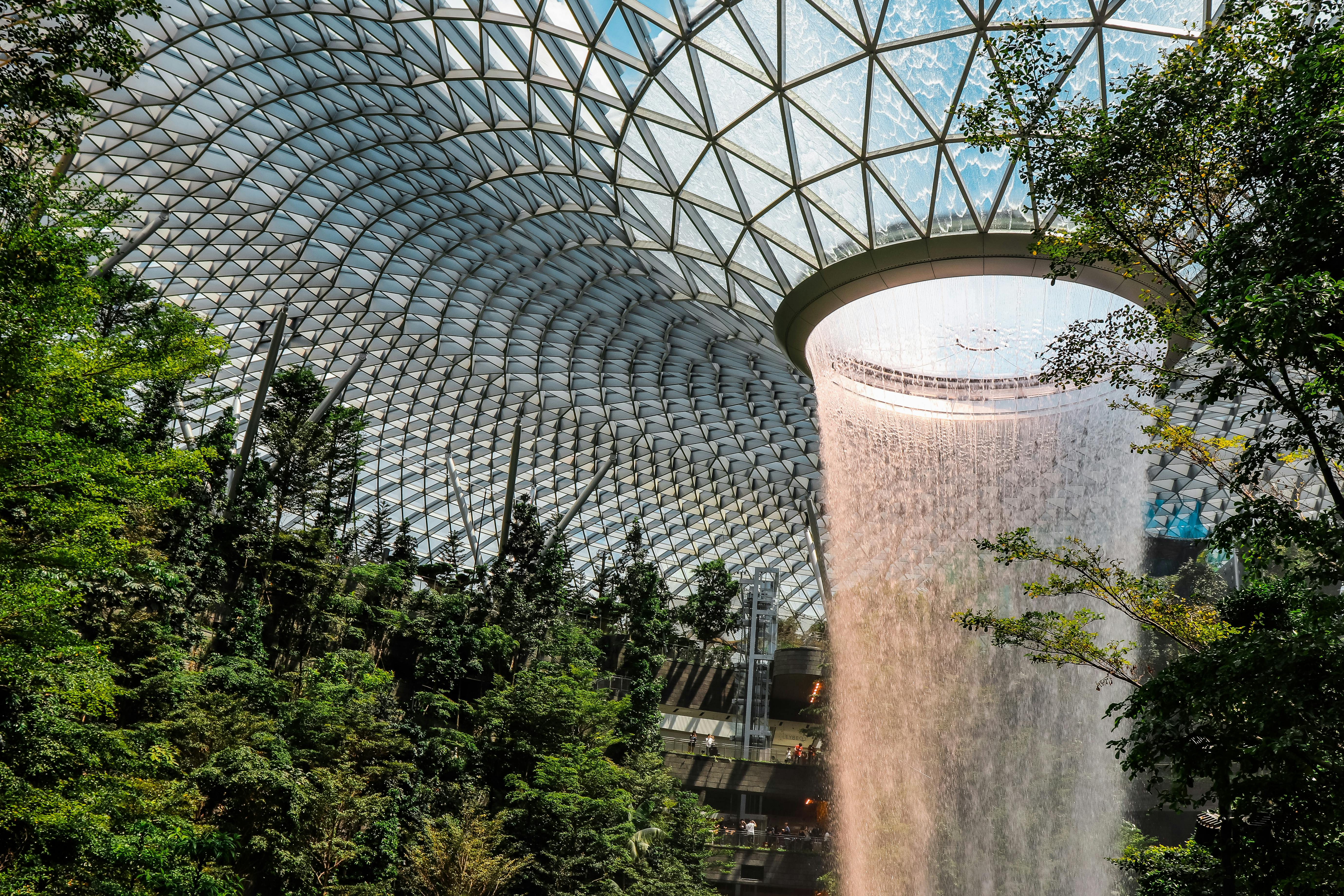 Green-leafed Plants Inside Greenhouse