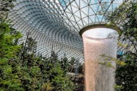 樟宜机场的标志性室内瀑布被郁郁葱葱的花园环绕