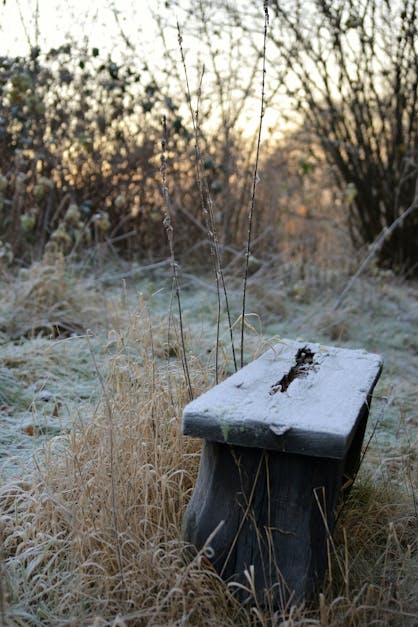 Free stock photo of bench, cold, frost