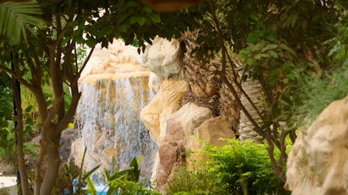 Безкоштовне стокове фото на тему «вода, дерево, камінь»
