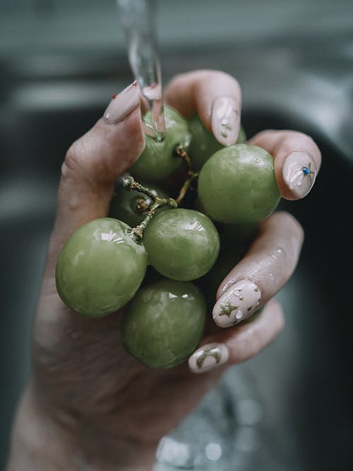 Free stock photo of diet, fruit, grapes