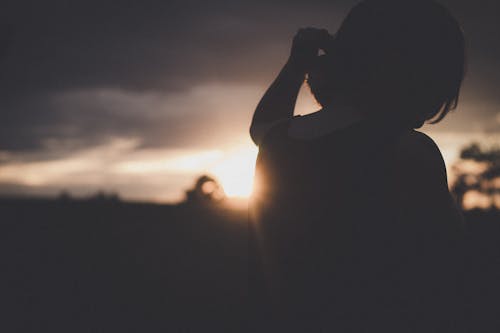 Free stock photo of girl, nature, sun trees