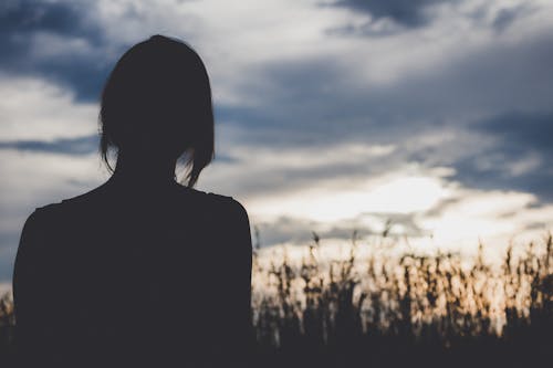 Free stock photo of girl, golden hour, nature