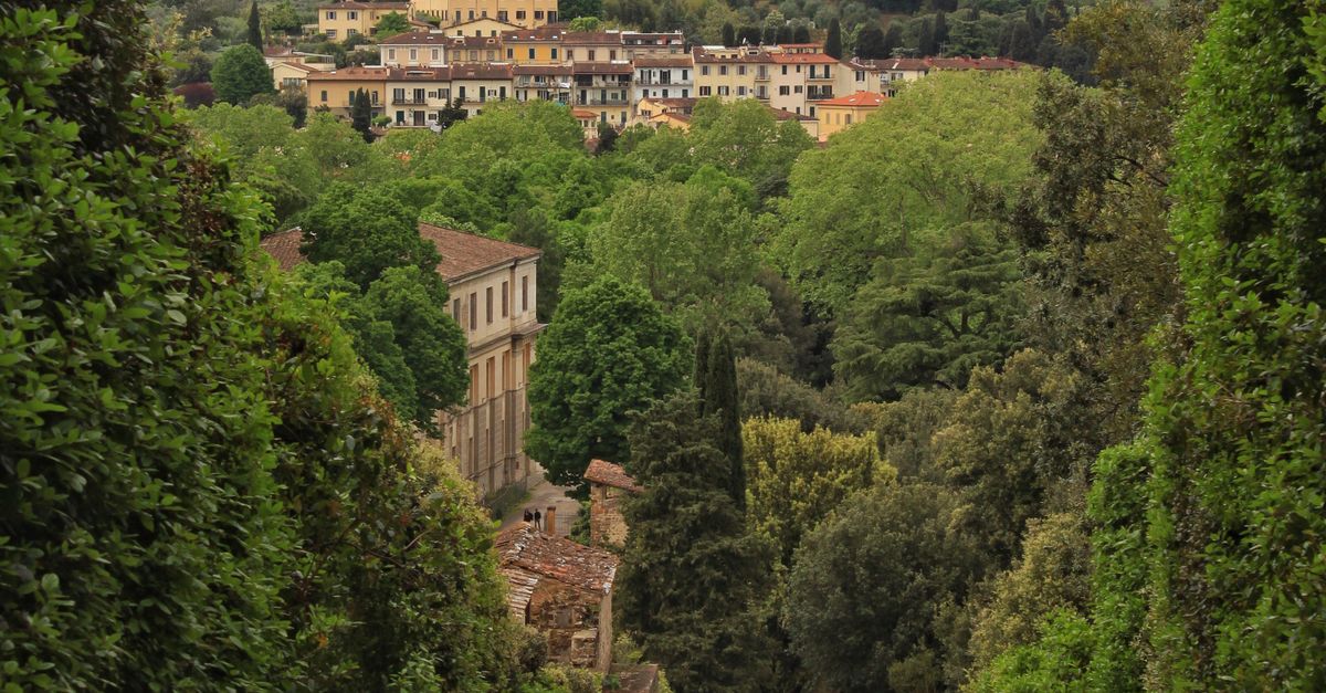 Pathway and hedged greenery in Boboli Gardens in Florence.