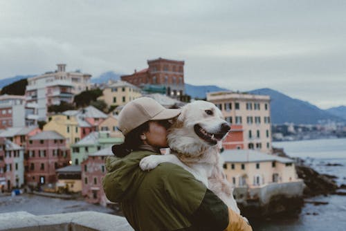 Бесплатное стоковое фото с генуя, городская архитектура, женщина обнимает собаку
