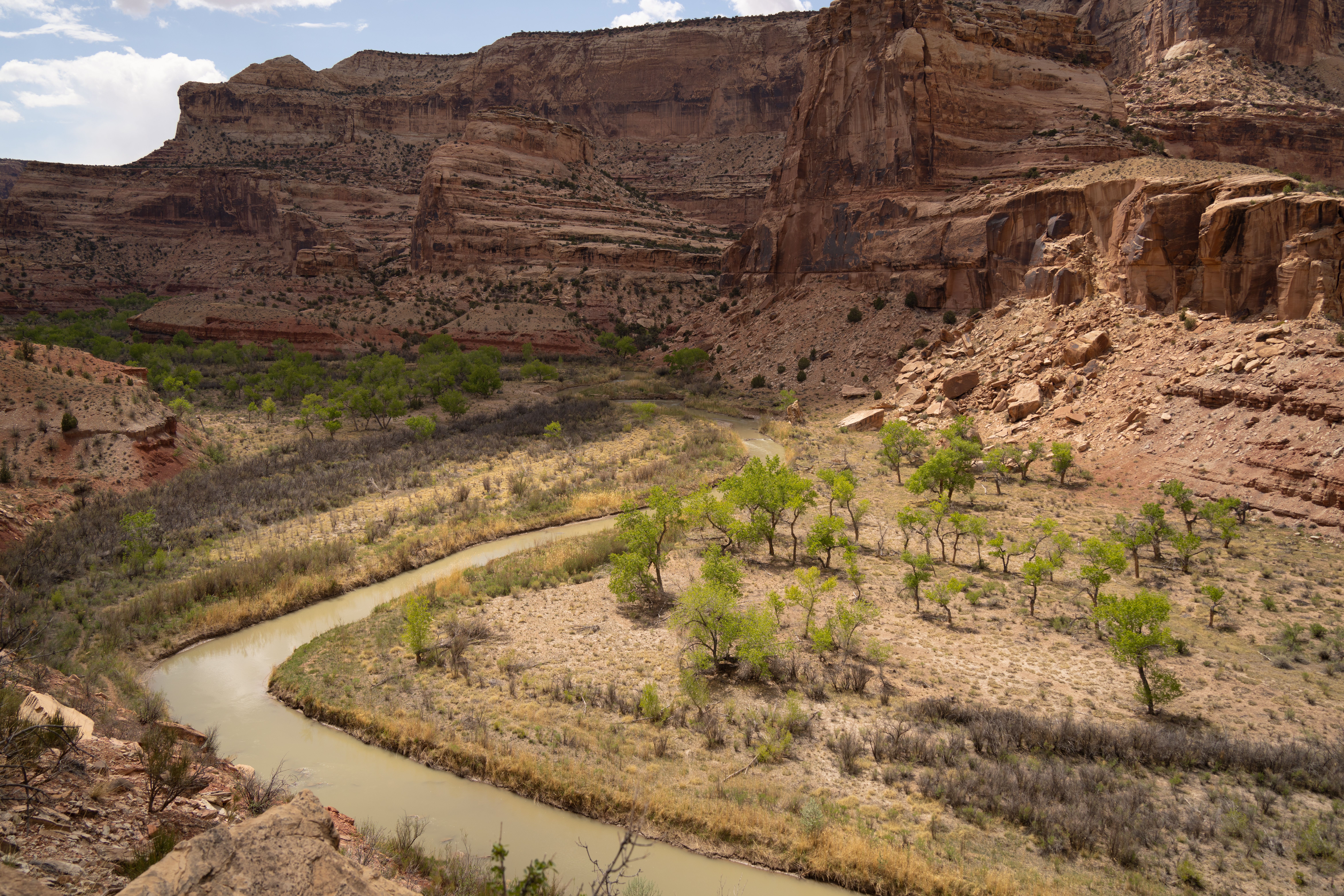Winding River in Canyon · Free Stock Photo