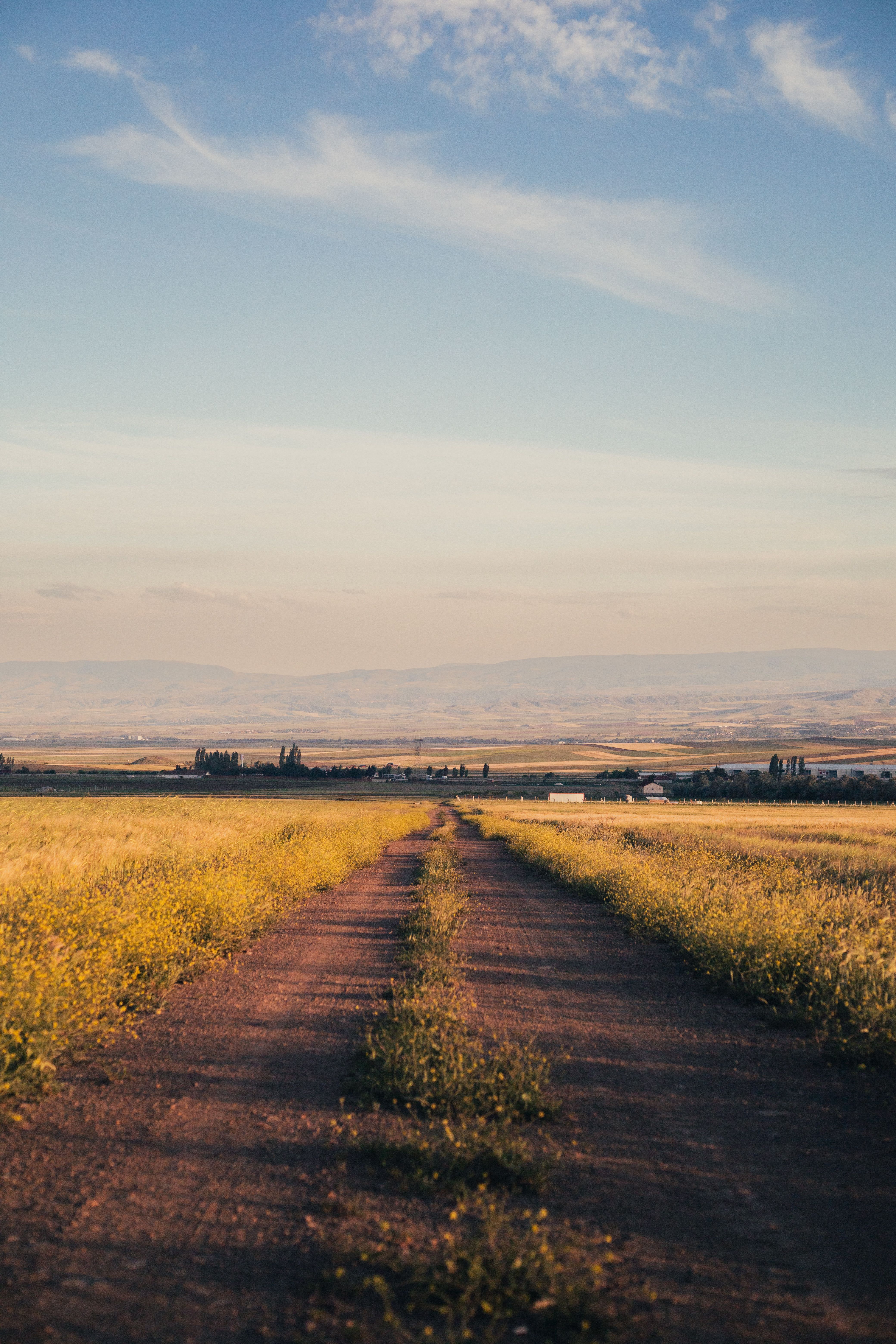 A dirt road leading to a field with a blue sky · Free Stock Photo