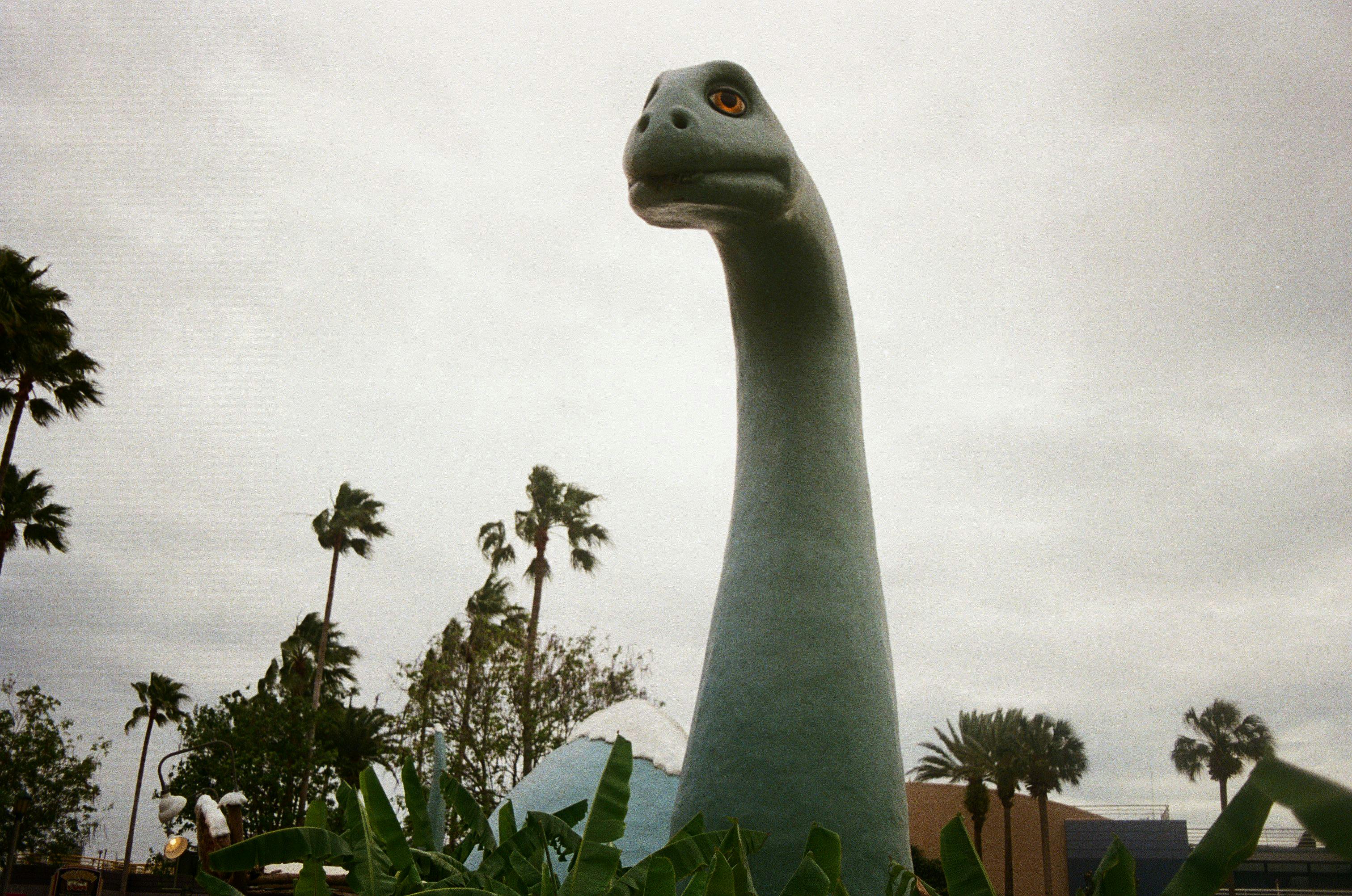 Jurassic dinosaurs had specialized diets to coexist peacefully — Photo by Niki Inclan on Pexels