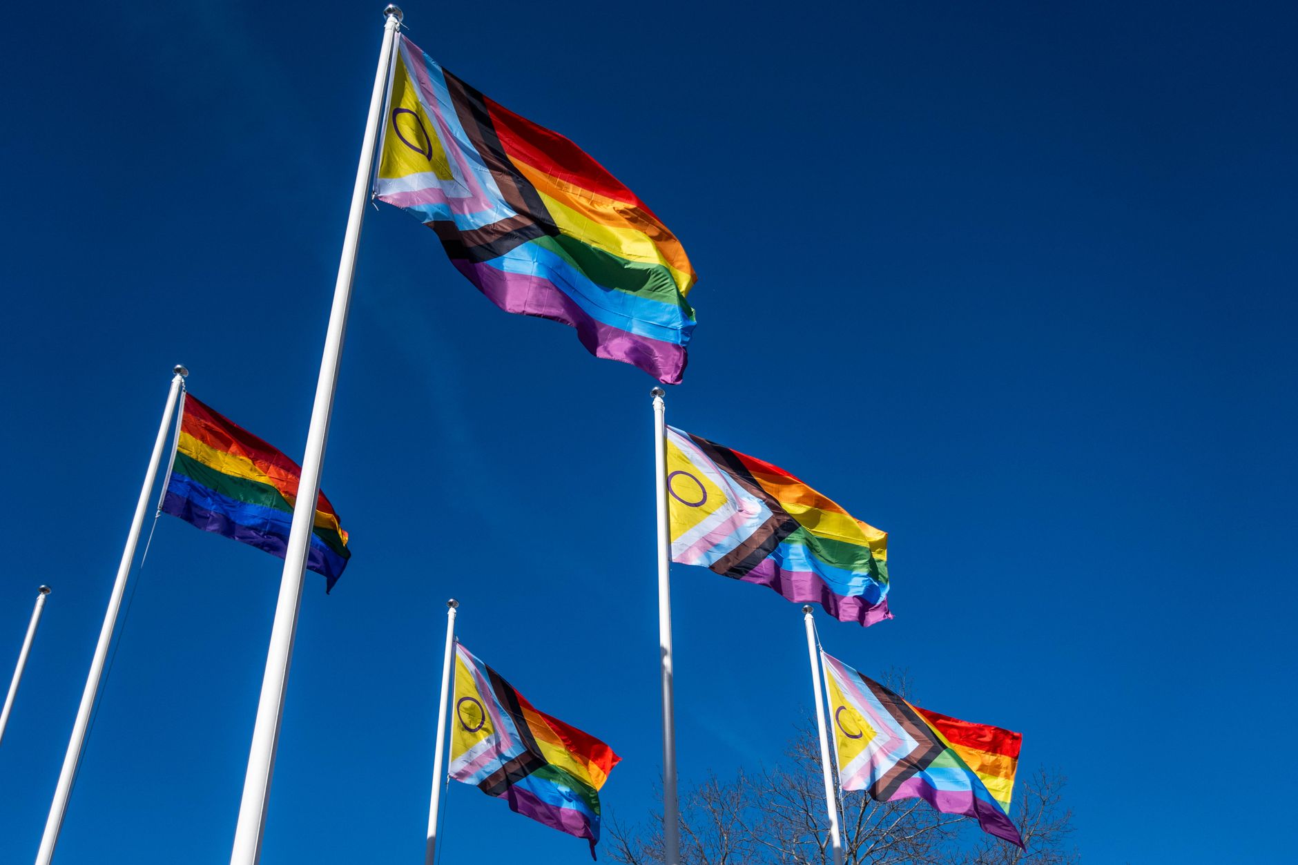 Imagen de archivo: Banderas de orgullo LGBTQ+ coloridas ondeando en un día despejado en Lahti, Finlandia.